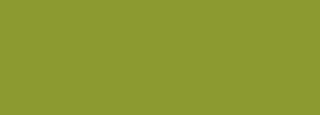 #8c9a30 Color Information