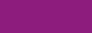 #8d1c7d Color Information
