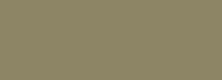 #8d8565 Color Information