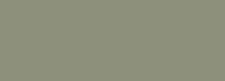 #8d907a Color Information