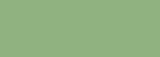 #8eb17f Color Information