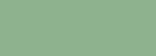 #8eb28d Color Information