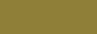 #8f7f38 Color Information