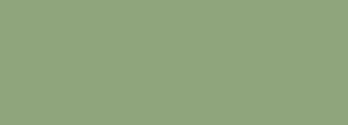 #8fa57c Color Information