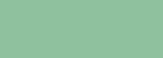 #8fc19e Color Information