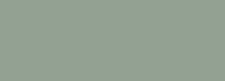 #93a193 Color Information