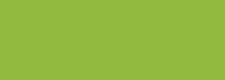 #93b93c Color Information