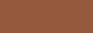 #955a3d Color Information