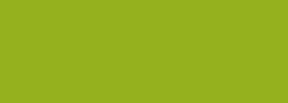 #95b11e Color Information