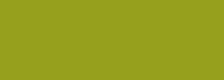 #96a01c Color Information