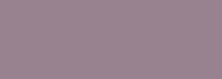#98828f Color Information