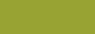 #98a333 Color Information