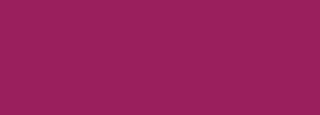 #9a1f5d Color Information
