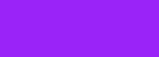 #9a23f8 Color Information