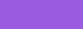#9a5be0 Color Information