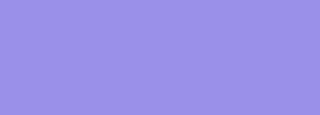 #9a90e8 Color Information