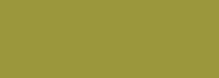 #9a973d Color Information
