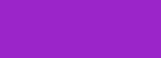 #9b25c9 Color Information