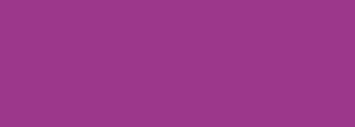#9c378b Color Information