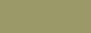 #9c9969 Color Information