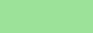 #9ce299 Color Information