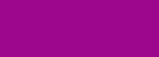 #9d078e Color Information