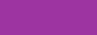 #9d34a1 Color Information