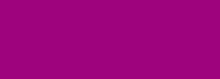 #9e037d Color Information