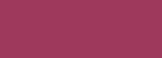 #9e395c Color Information