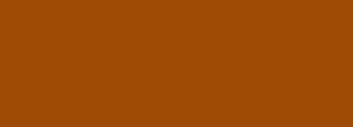 #9e4c04 Color Information