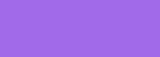 #9e6ae9 Color Information