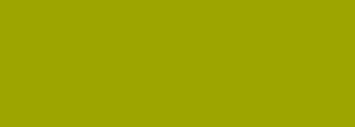 #9ea401 Color Information