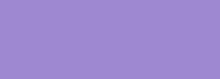 #9f88d2 Color Information