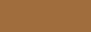 #a06d3d Color Information