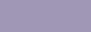 #a097b6 Color Information