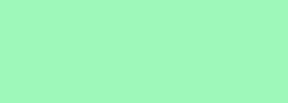 #a0f8bc Color Information