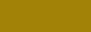 #a28305 Color Information