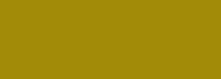 #a28b08 Color Information