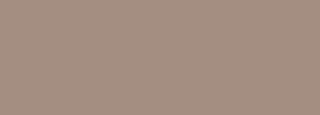 #a48e81 Color Information