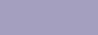 #a49ebf Color Information