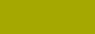 #a5a801 Color Information