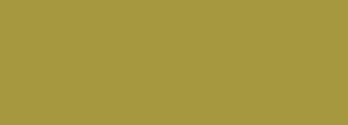 #a6983f Color Information