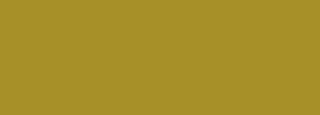 #a78e25 Color Information