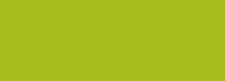 #a7ba1e Color Information