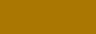 #a87802 Color Information