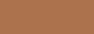 #a9724c Color Information