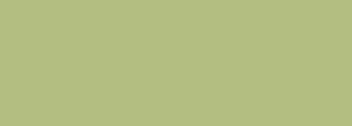 #b3be81 Color Information