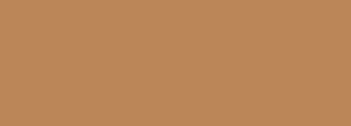 #bb8658 Color Information