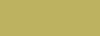 #bcb261 Color Information