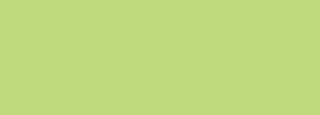 #bfd97d Color Information